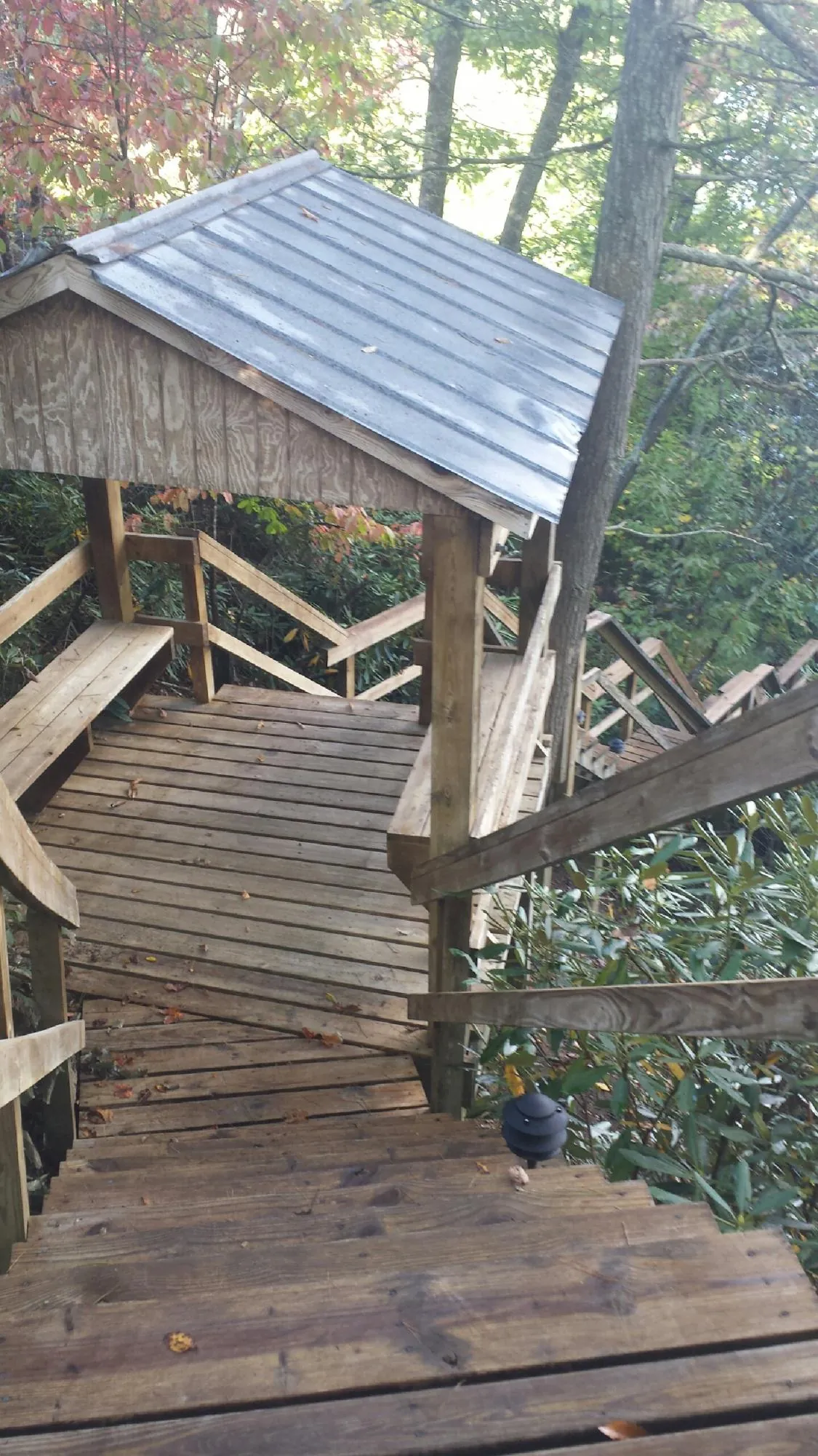 Metal roofed shelter over wooden steps on a wooded walkway — Skylight Repair & Installation work by our crew in Lanett